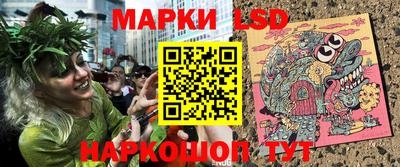 гидра Камышлов