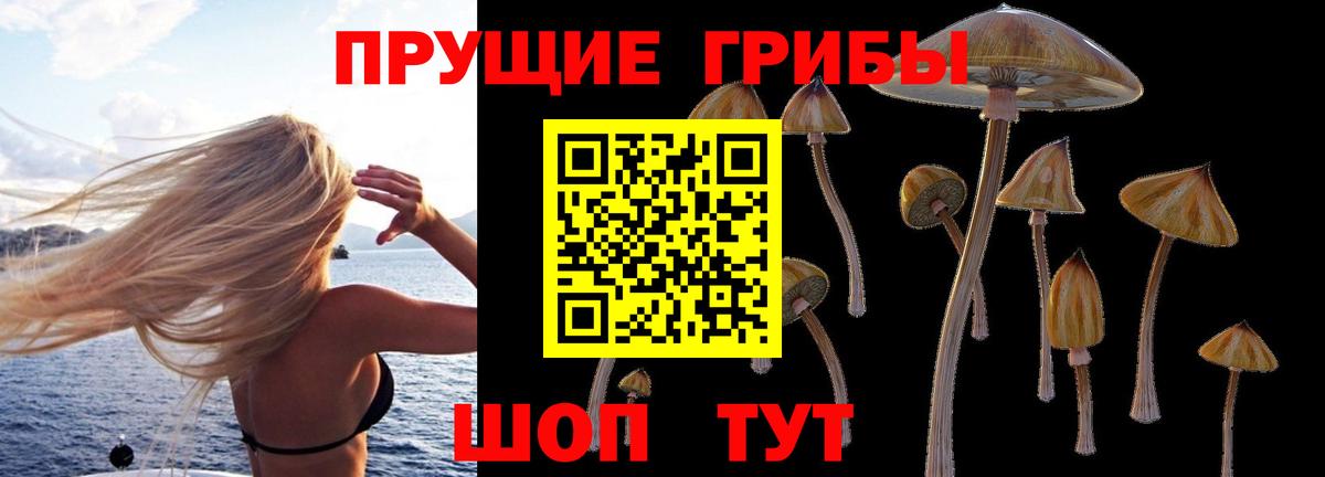 Биробиджан  Галлюциногенные грибы Cubensis  где найти   Вход с VPN 